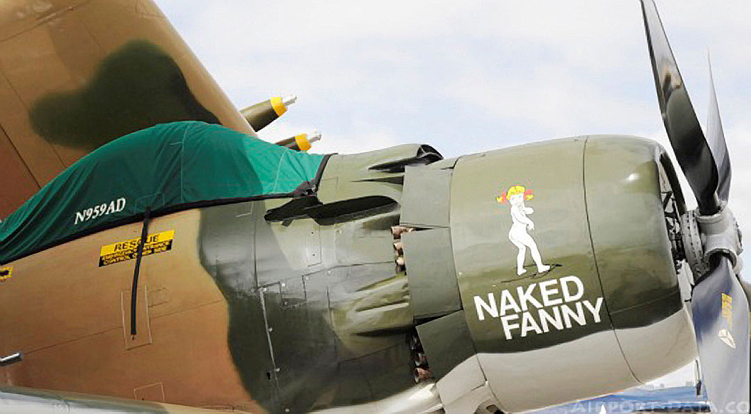 Douglas Skyraider Canopy Cover