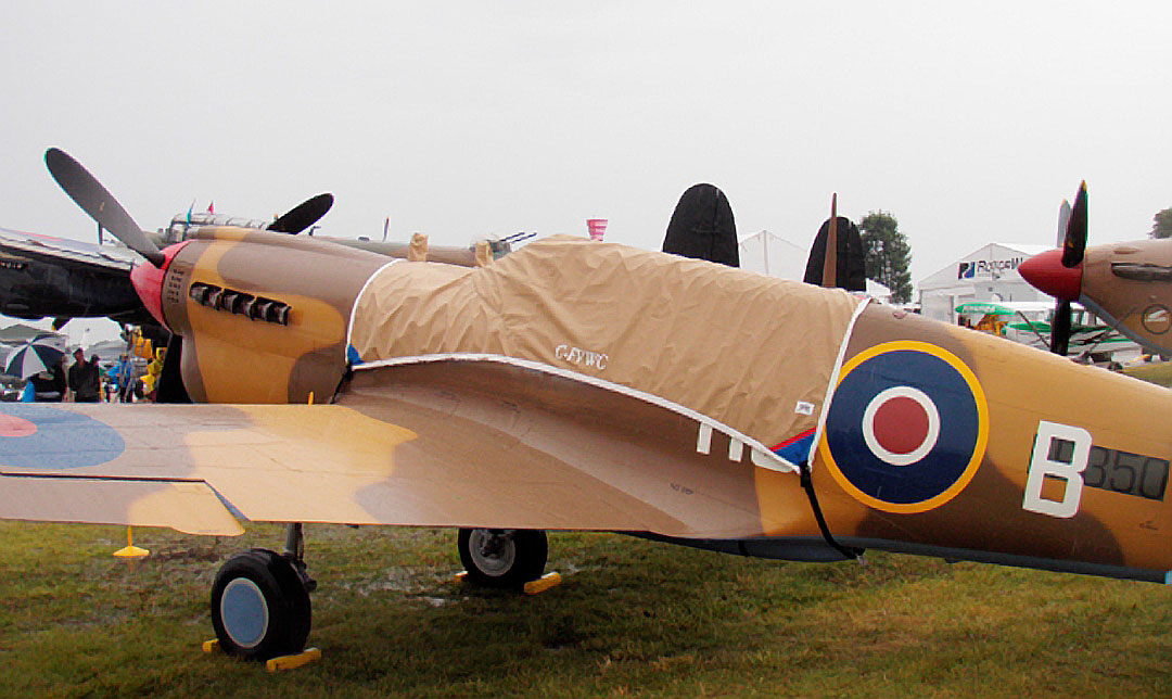 P40 Canopy Cover