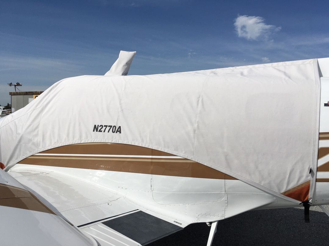 Beech Duke Canopy Cover